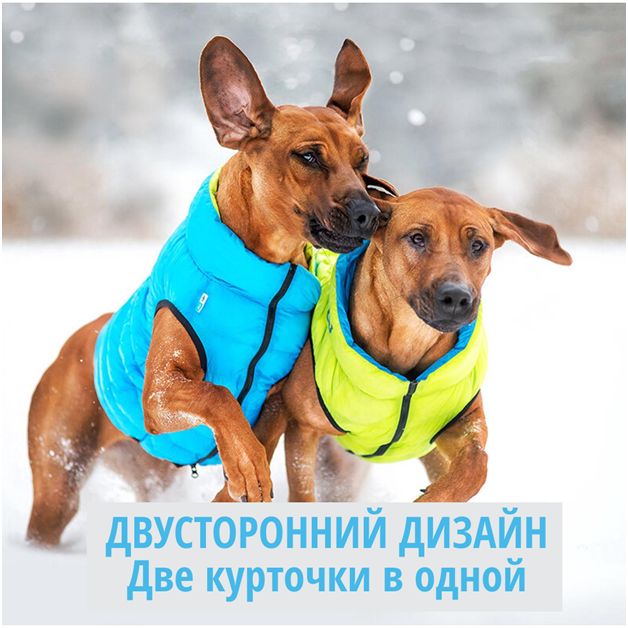 Курточки для собак